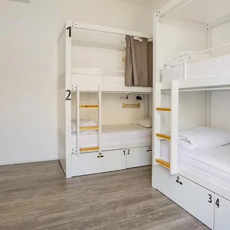 بيت شباب Hostellicious