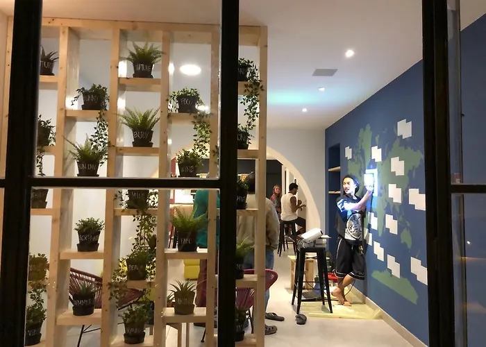 Hostel Hostellicious *